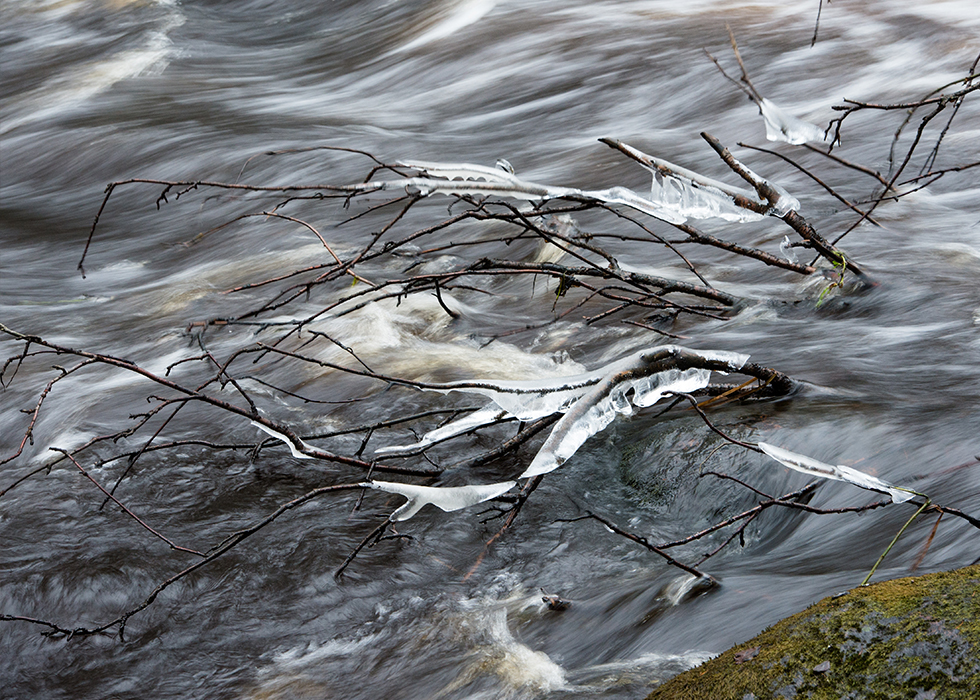 Льдинки в реке в Линдуловской роще поздней осенью.