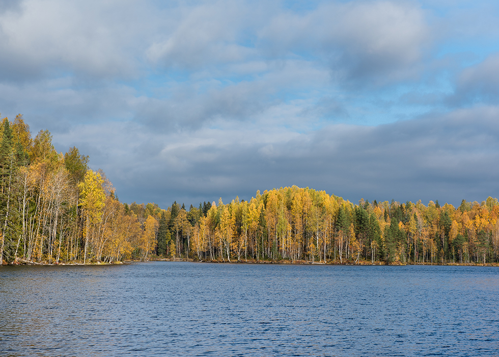 Озеро Ведлозеро в Пряжинском районе в Карелии.