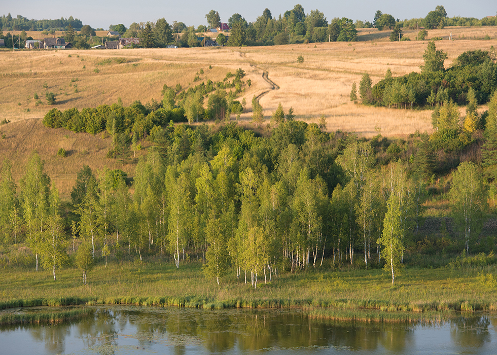 Вид на поля и Городищенское озеро в Изборске.